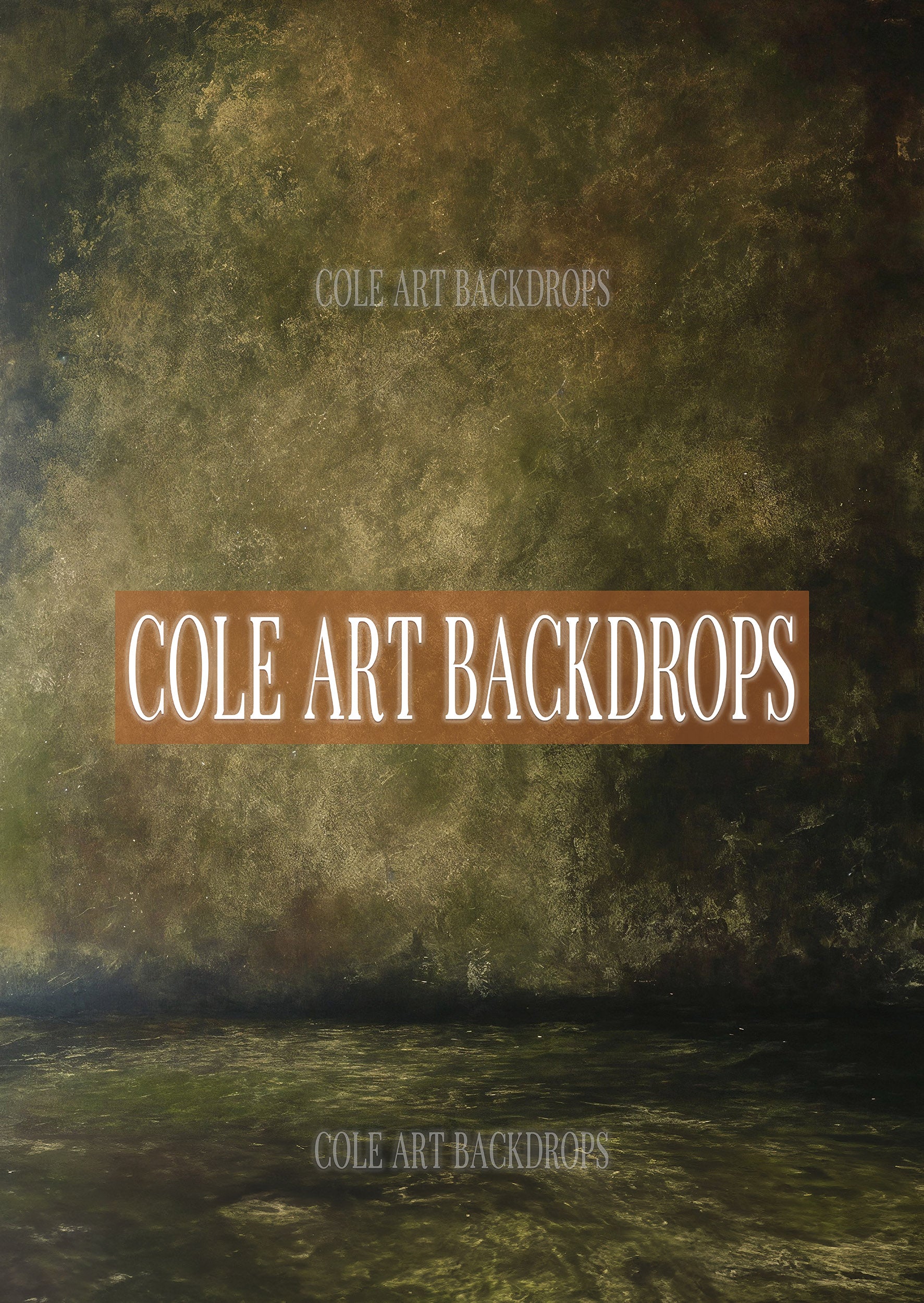 Studio Backdrops 24, Printed Backdrop, Fabric Backdrops, Printed Sweep ...