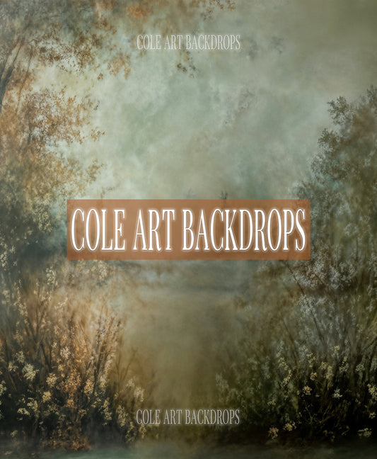 Studio Style 62, Printed Backdrop, Fabric Backdrops, Photography Backdrops