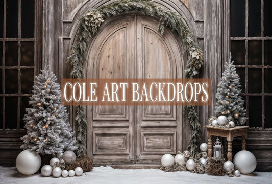 Wooden Christmas Doors 4 Printed Backdrop, Fabric Backdrops, Printed Christmas Backdrop, Christmas Photo Prop