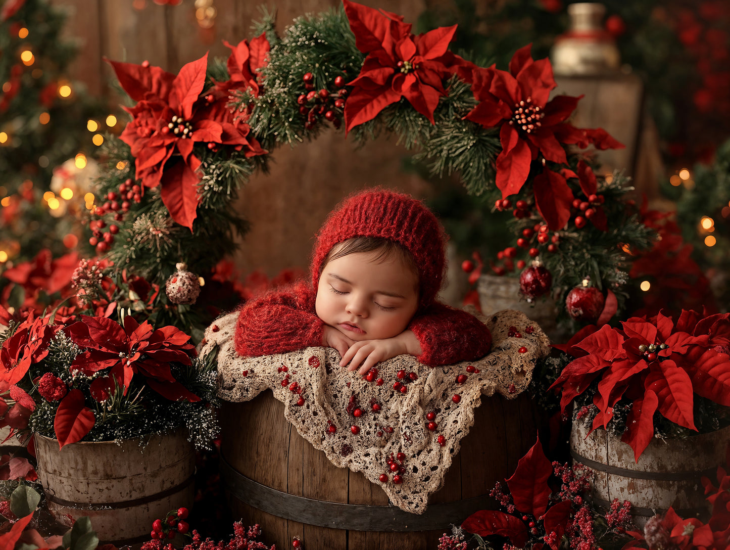 Baby Poinsettia Digital Background, Newborn Backdrops Set