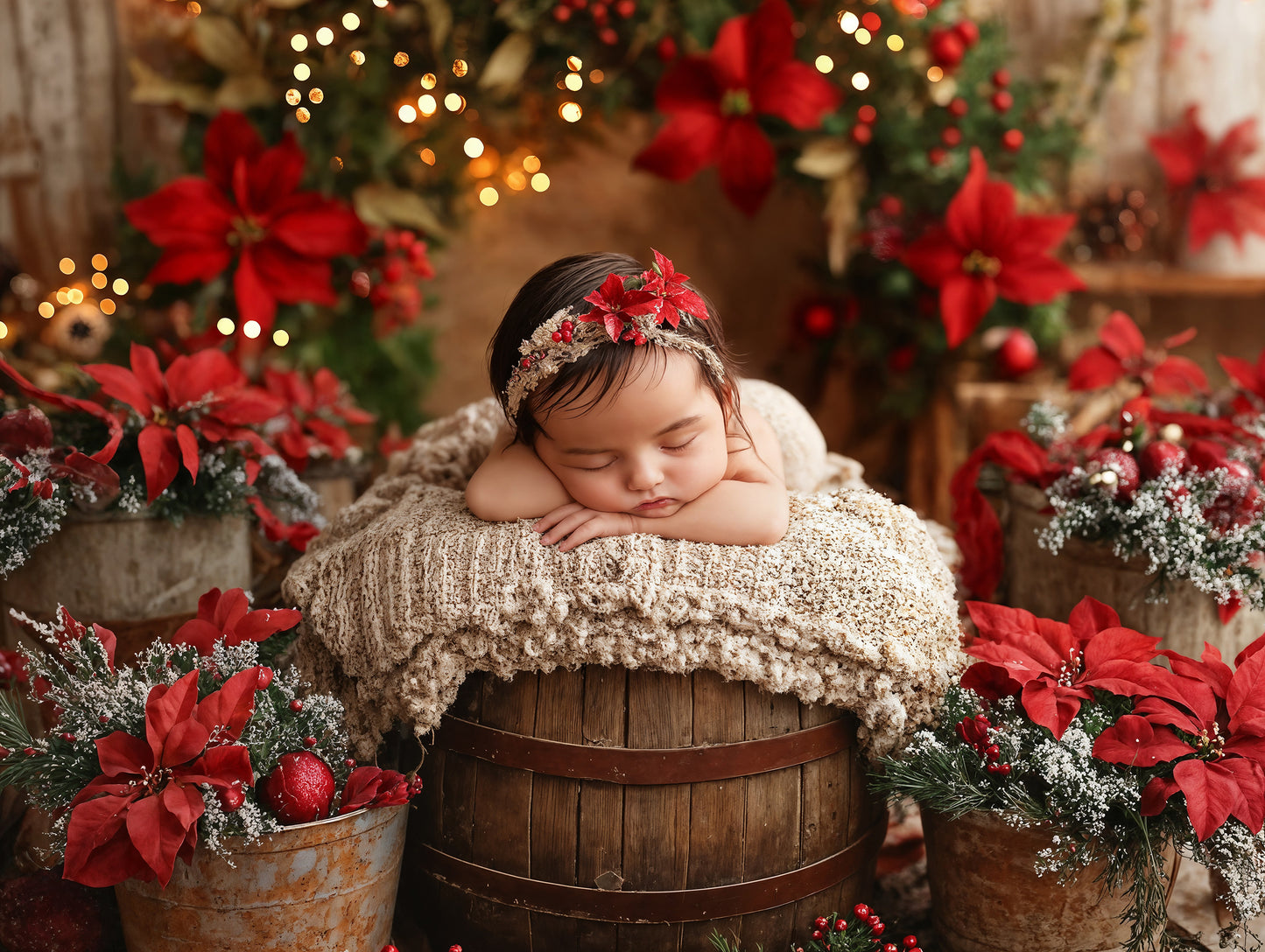 Baby Poinsettia Digital Background, Newborn Backdrops Set