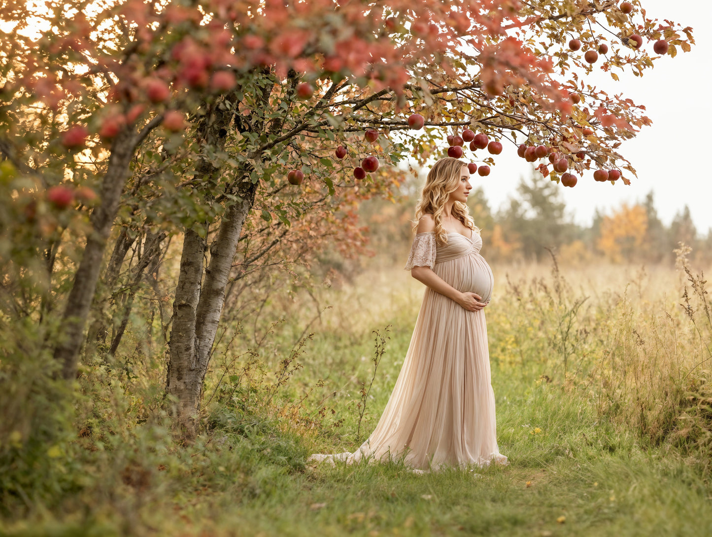 Apple Orchard Digital Backdrop Set