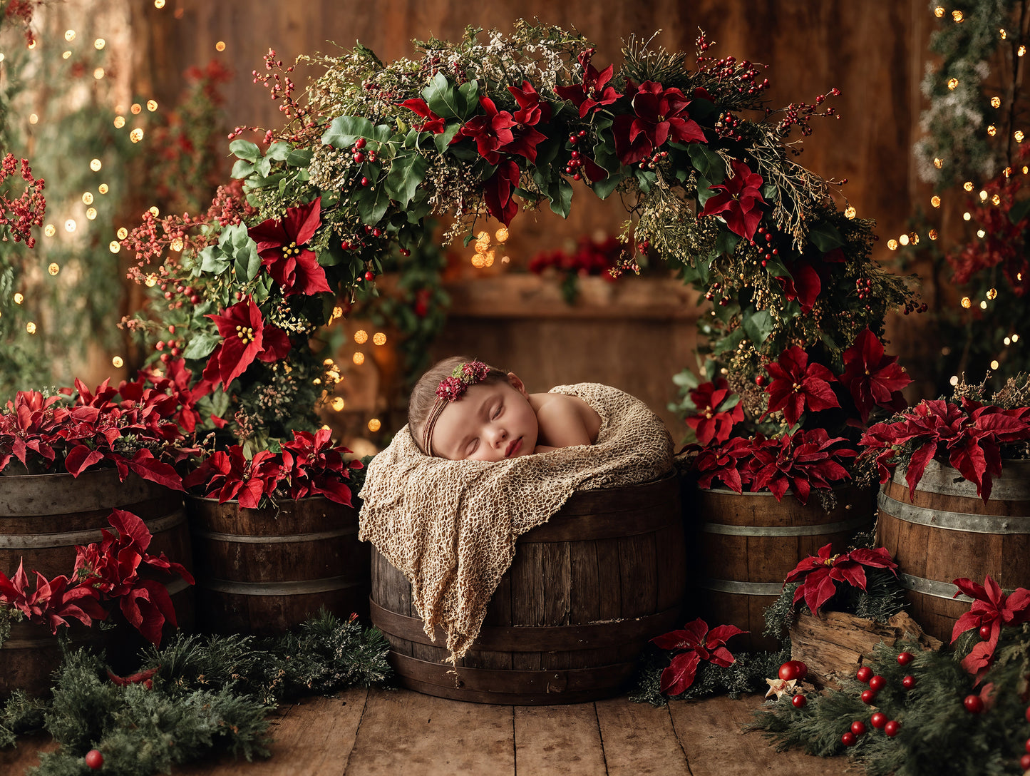 Baby Poinsettia Digital Background, Newborn Backdrops Set