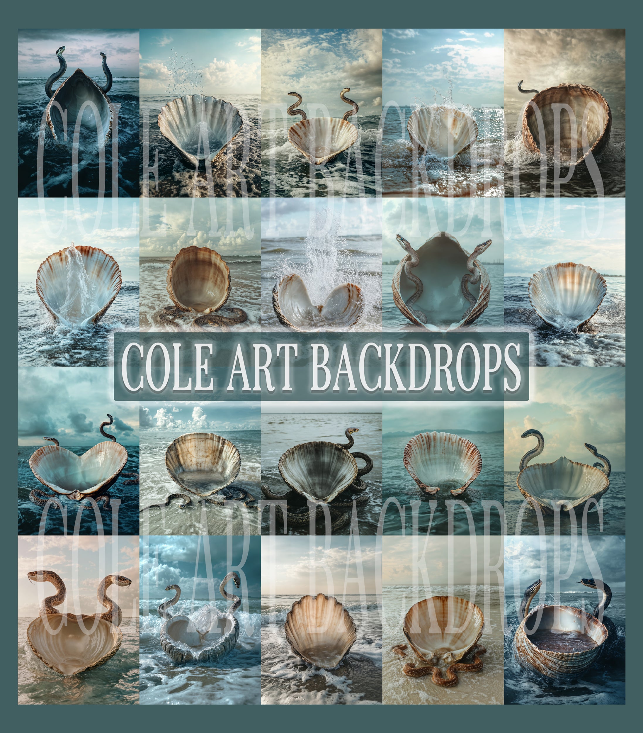Capos Shells Backdrop Sea Shells and Snakes Digital Backdrop Set – Cole Art Backdrops