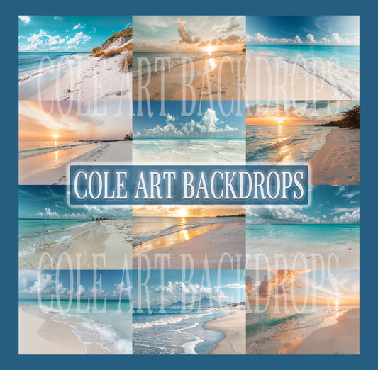 Sandy Beaches Digital Backdrop Set