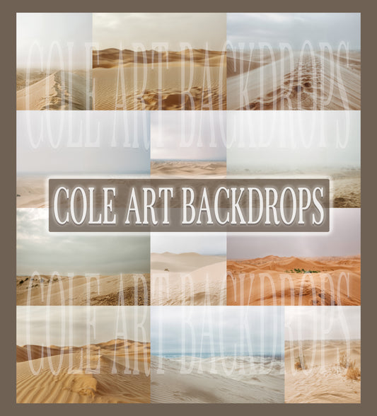 Overcast Desert Digital Backdrop Set