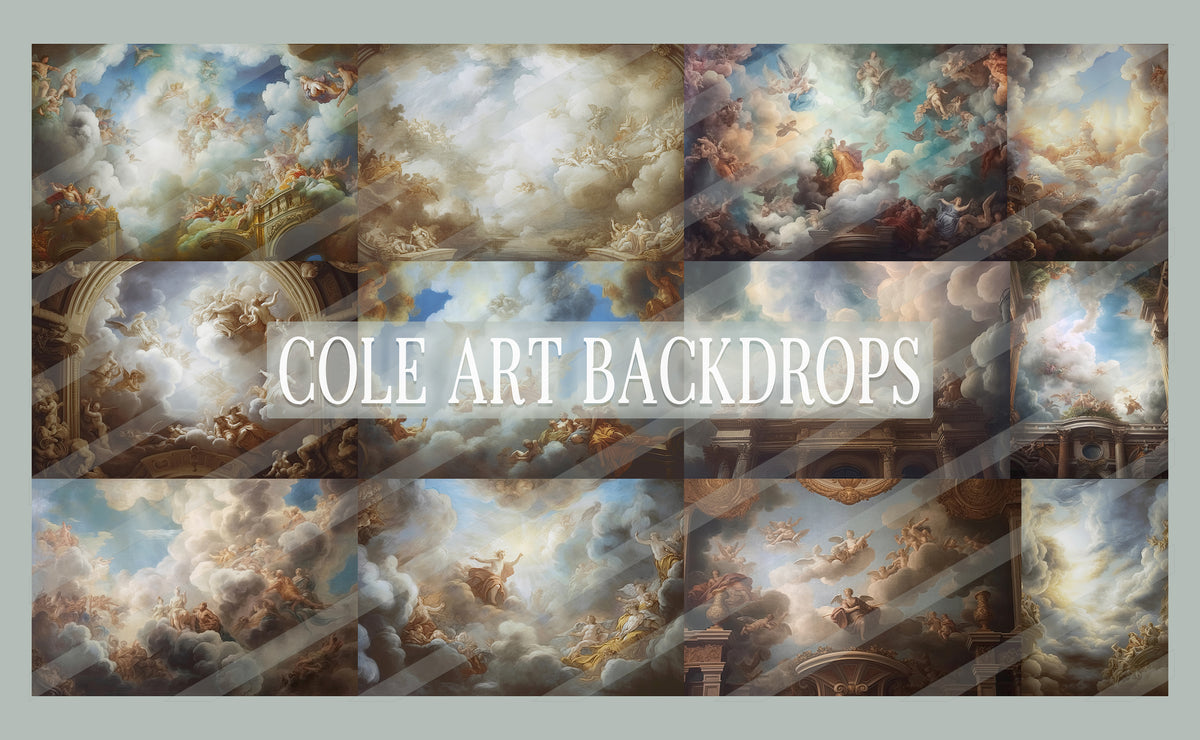 Simple Renaissance Backgrounds Renaissance Clouds Set Digital Backdrops, Maternity Backgrounds, Studi ...