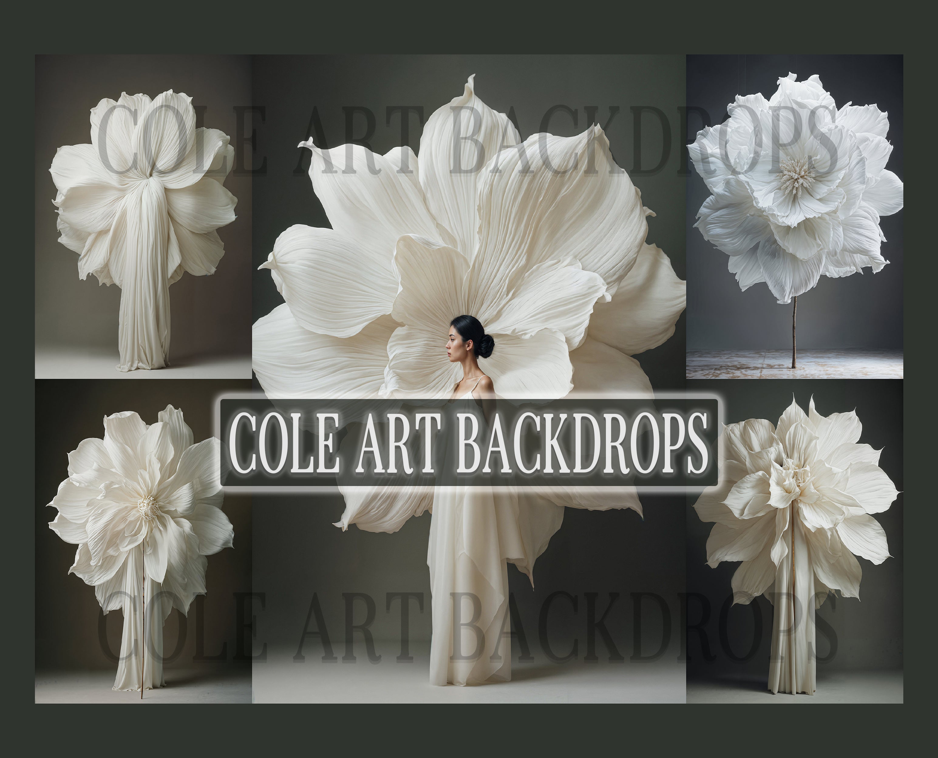 White Jade Digital Backdrop Set | Digital Backgrounds – Cole Art Backdrops