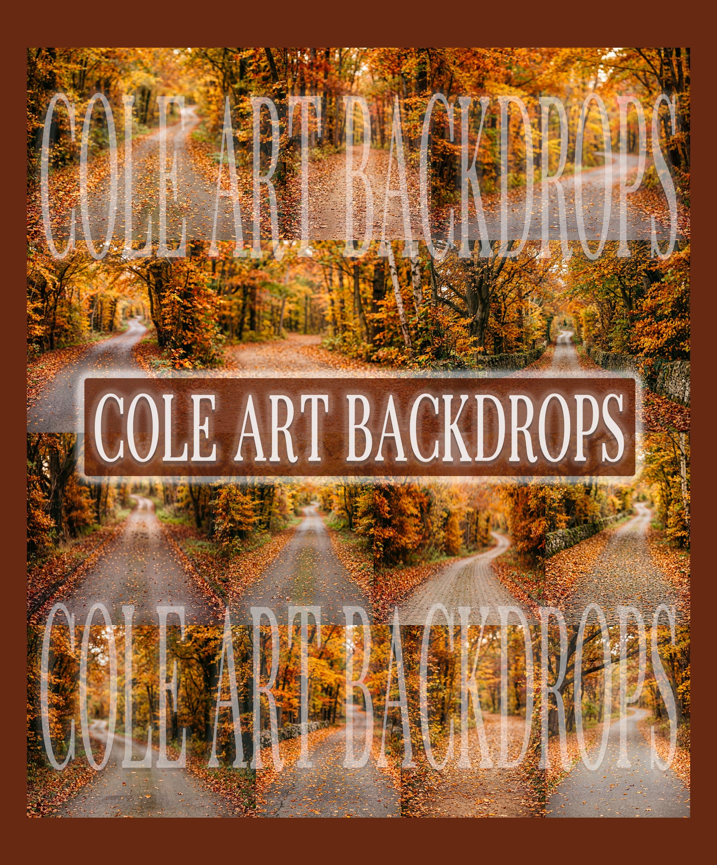 Autumn Vibes Digital Backdrop Set