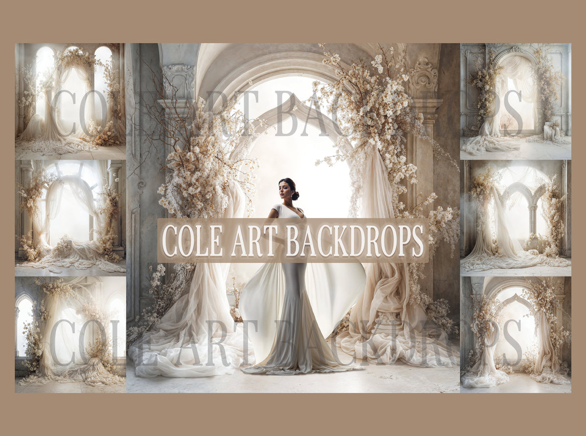 Airy Rococco Set Digital Backdrops, Maternity Backgrounds, Studio Back ...