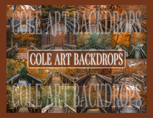 Fall Bridge Digital Backdrop Set