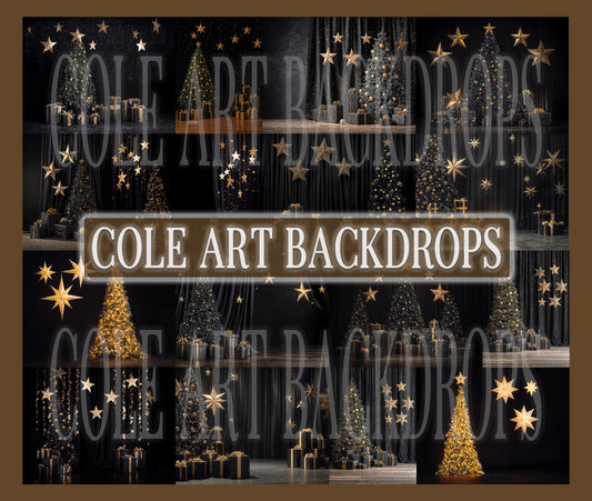 Black Star Christmas Set Digital Backdrops, Christmas Backdrops