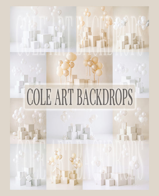 White Cube Digital Backdrop Set