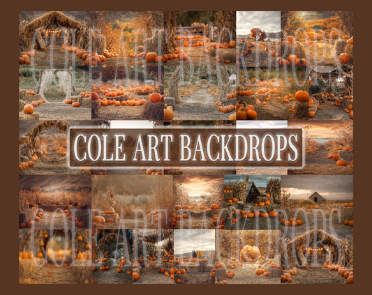 Pumpkin Patch Digital Backdrop Set