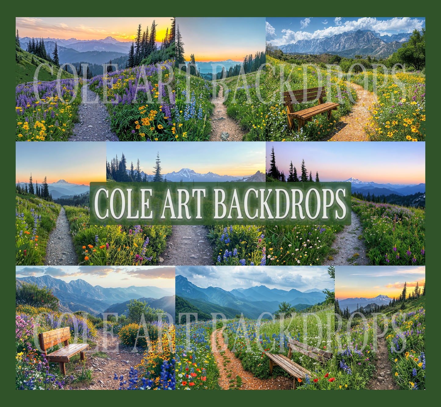 National Parks Digital Backdrop Set