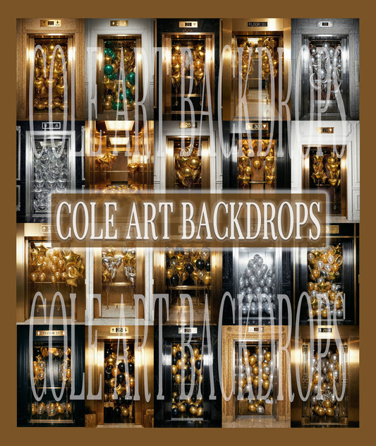 Elevator Elegance Digital Backdrop Set
