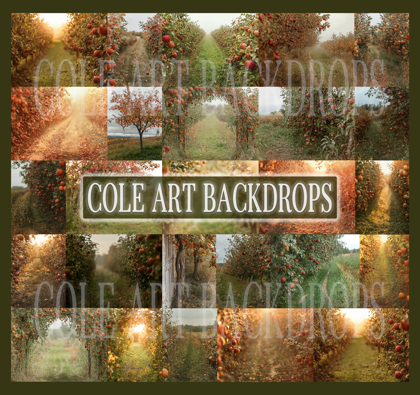 Apple Orchard Digital Backdrop Set