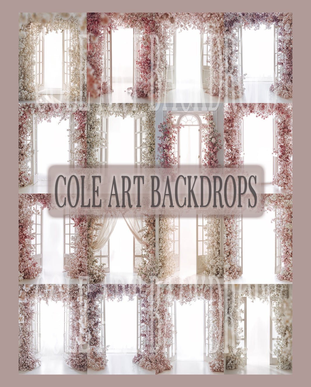 Digital Backdrops – Cole Art Backdrops