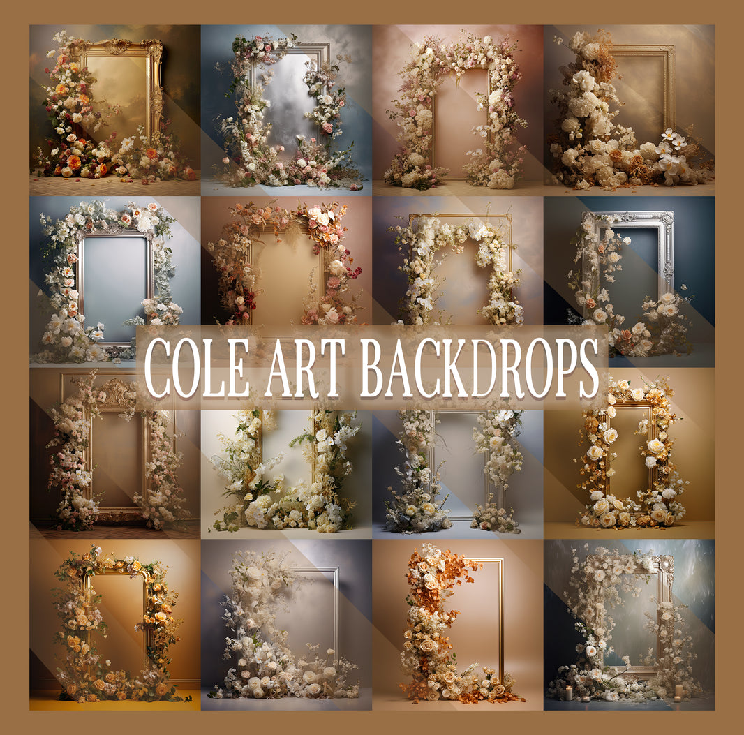 Digital Backdrops – Cole Art Backdrops
