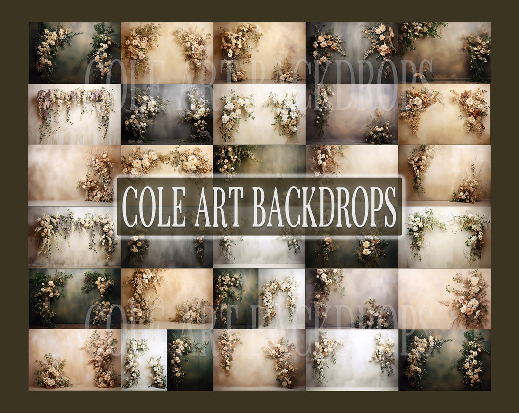 Digital Backdrops – Cole Art Backdrops
