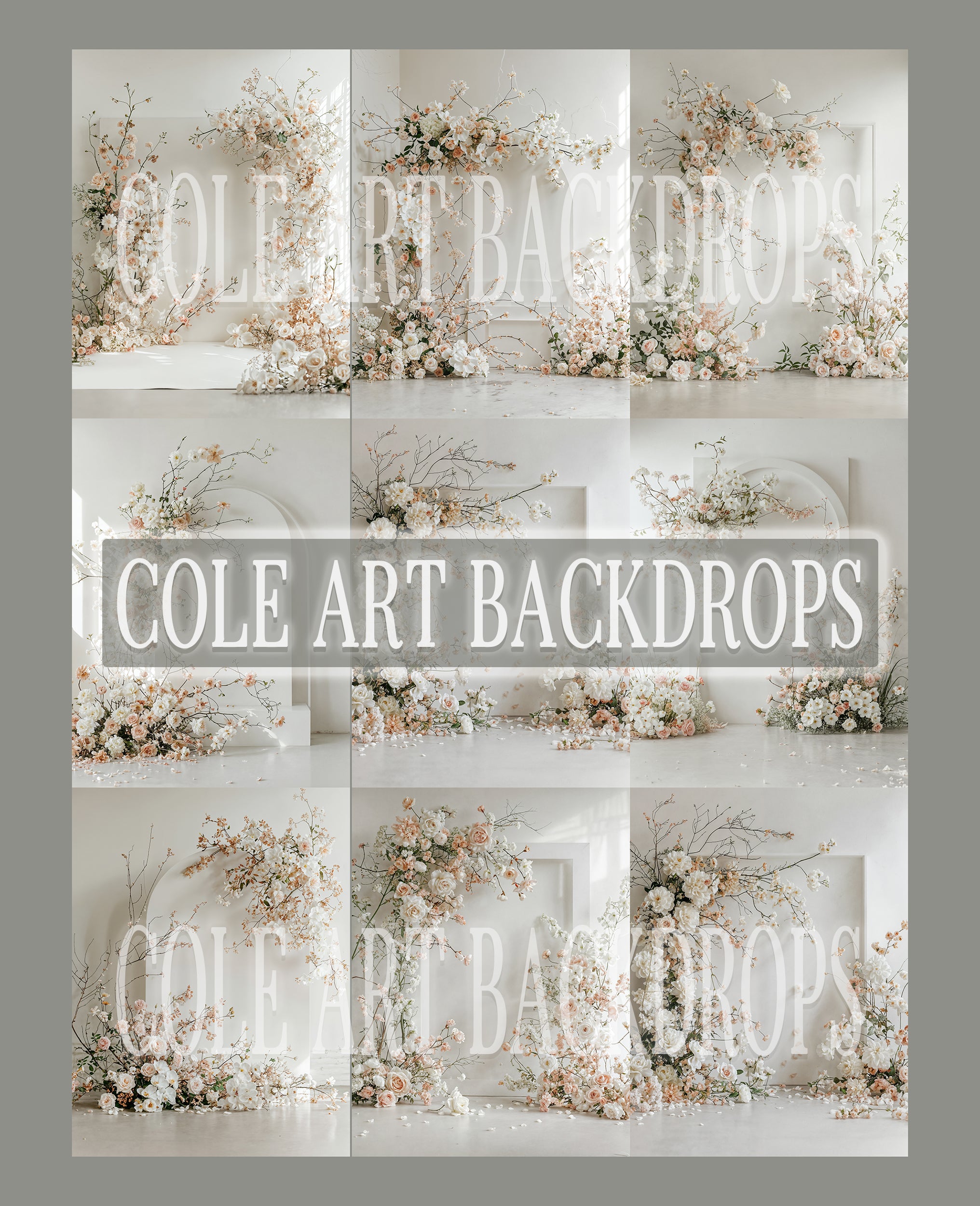 Airy Arch Digital Backdrop Set – Cole Art Backdrops