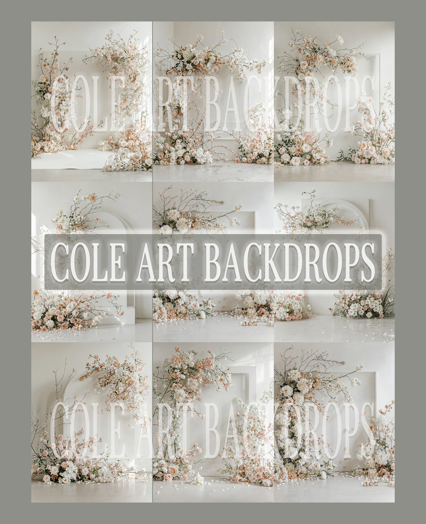 Airy Arch Digital Backdrop Set