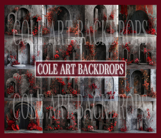 Red Installation Digital Backdrops Set