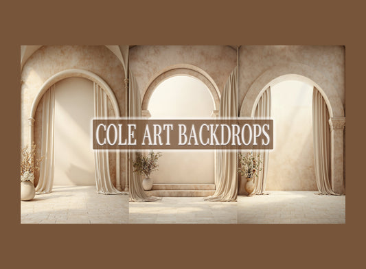 Tan Arch Vibes Set Digital Backdrops, Maternity Backgrounds, Studio Backdrop Textures, Fine Art Textures, Photoshop Textures