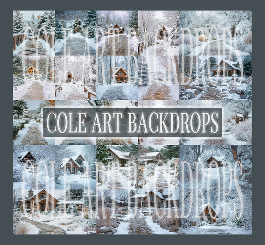 Snowy Paths Christmas Digital Backdrops Set