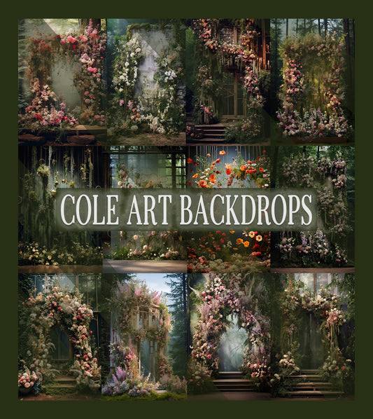 Modern Garden Oasis Set Digital Backdrops, Maternity Backgrounds, Studio Backdrop Textures, Fine Art Textures, Photoshop Textures