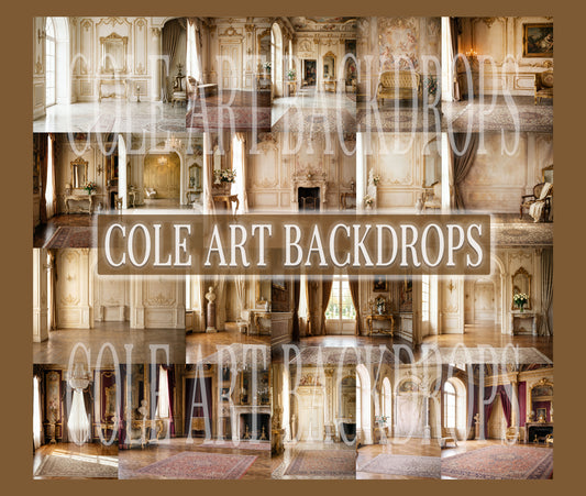 Baroque Scenes Digital Backdrop Set