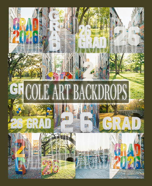 The Graduates 1 Digital Backdrop Set