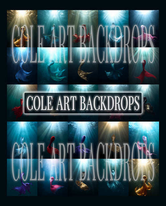 Mermaid Underwater Digital Backdrop Set