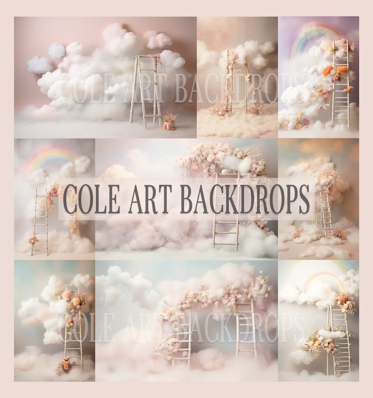 Geiger Backdrop Cloudy Ladders Set Digital Backdrops, Maternity Backgrounds, Studio Ba ...