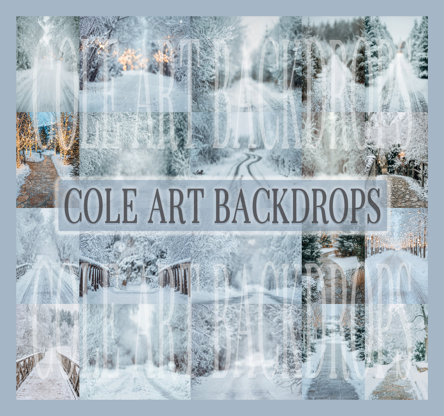Snowy Days Christmas Digital Backdrops Set