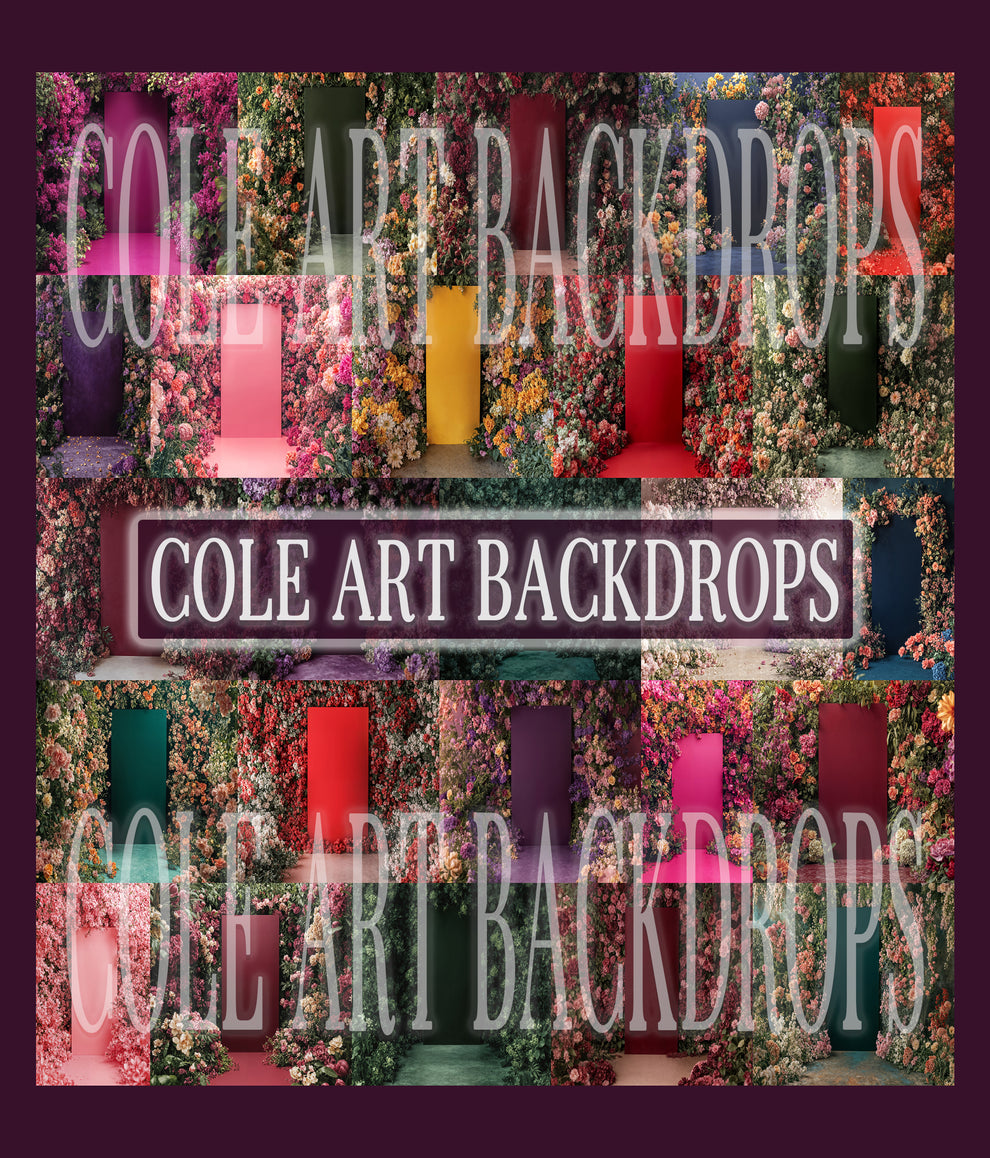 Color Panels Digital Backdrop Set – Cole Art Backdrops