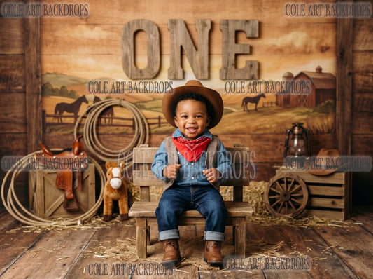 Baby Cowboy 1, Newborn Digital Backdrops, Baby Backdrop, Newborn Background