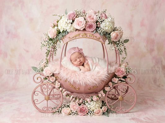 Pink Carriage One, Newborn Digital Backdrops, Baby Backdrop, Newborn Background