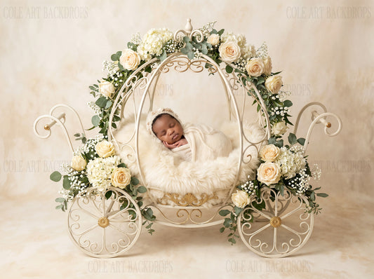 White Carriage Two Digital Backdrop, Newborn Background, Floral Baby Backdrop