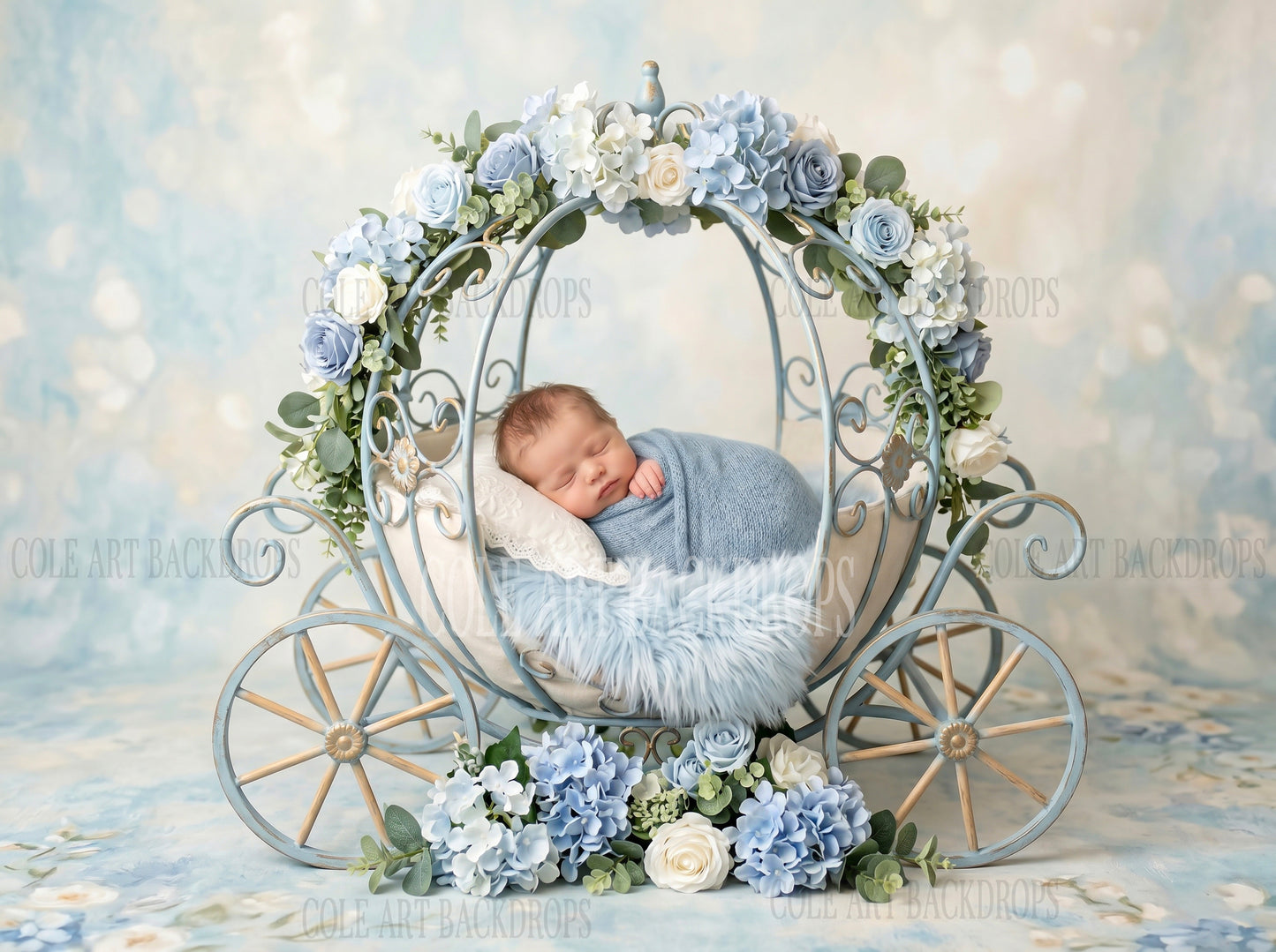 Blue Carriage One, Newborn Digital Backdrops, Baby Backdrop, Newborn Background