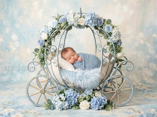 Blue Carriage One, Newborn Digital Backdrops, Baby Backdrop, Newborn Background