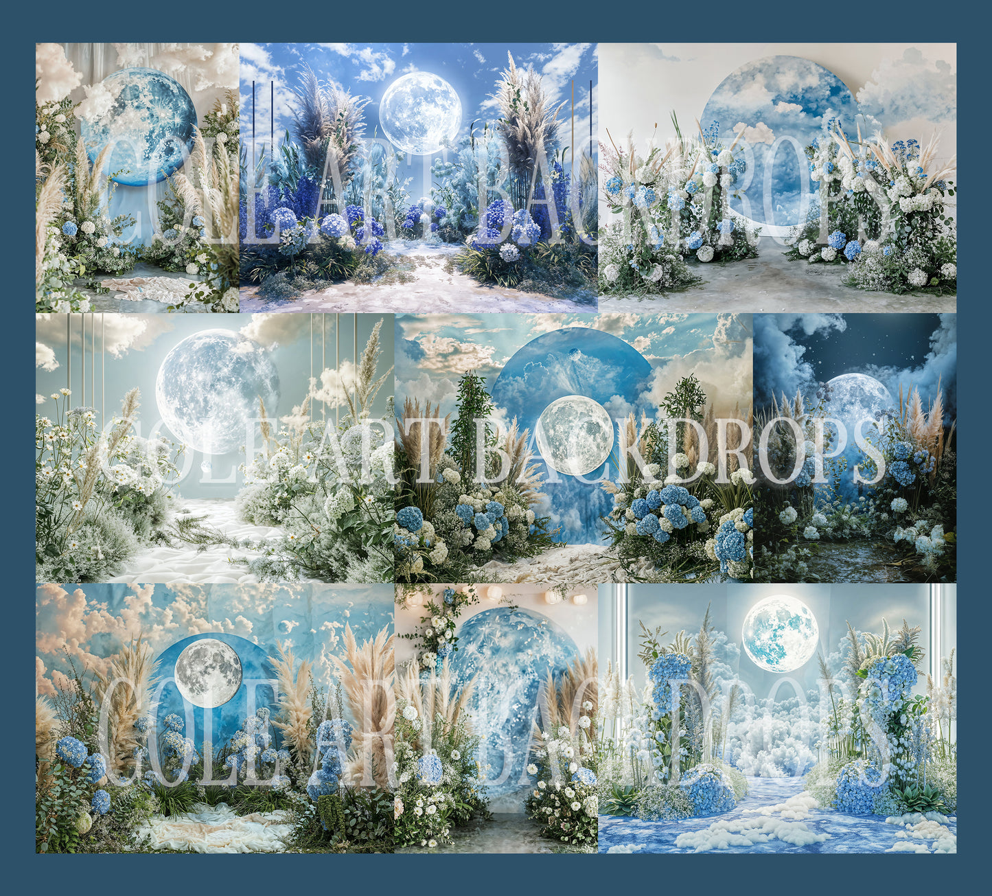 A Little Blue Moon Digital Backdrop Set