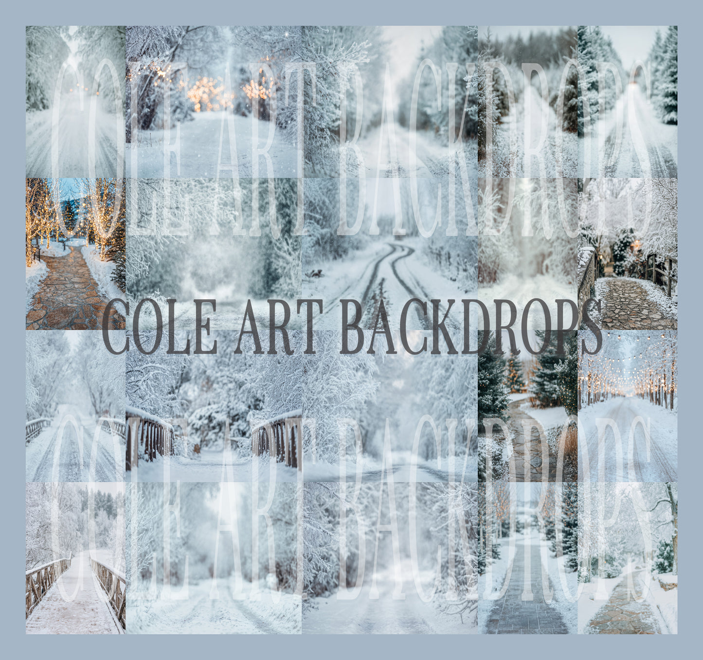 Snowy Days Christmas Digital Backdrops Set