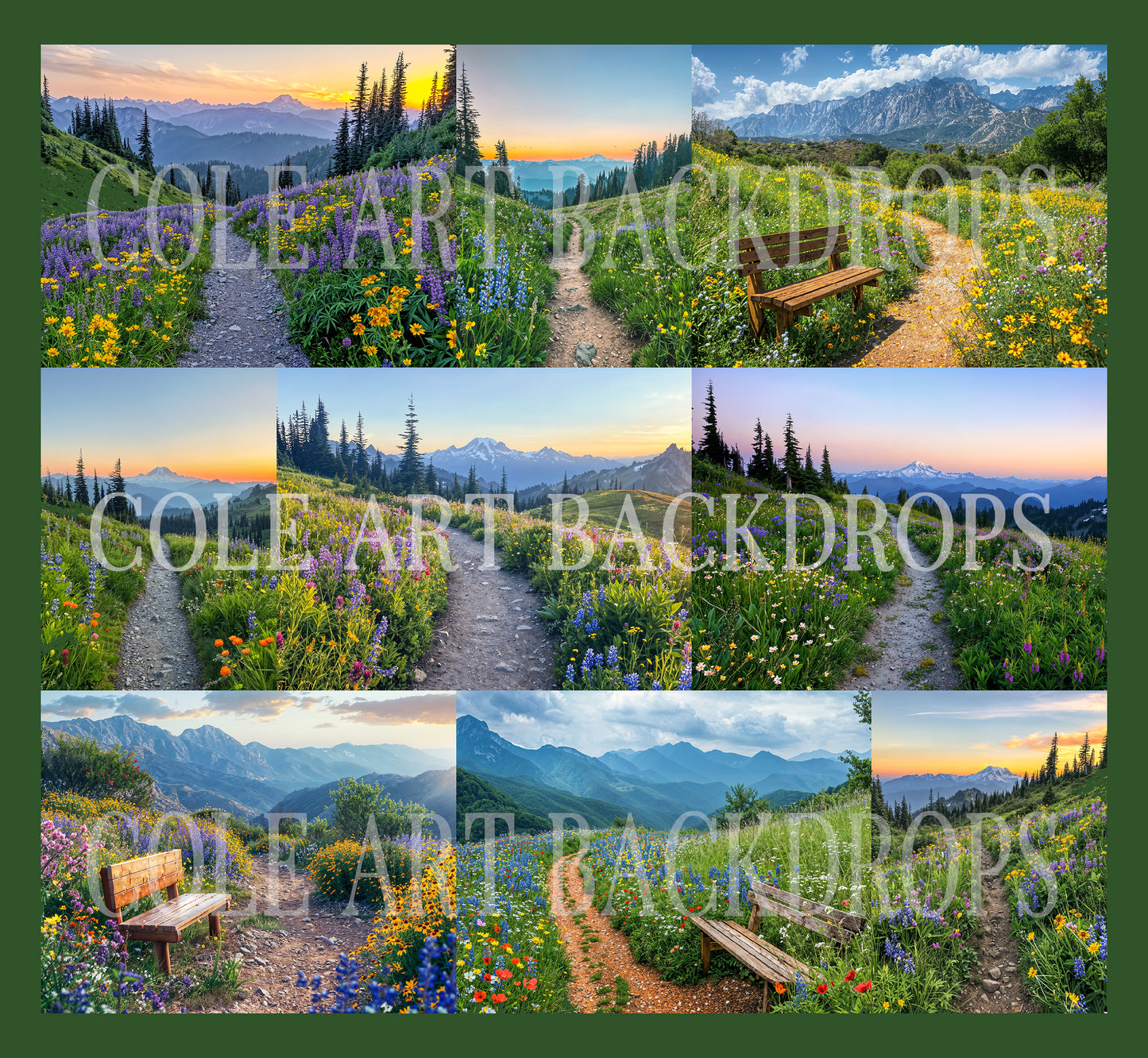 National Parks Digital Backdrop Set