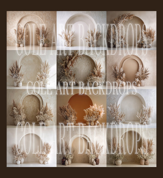 Boho Belle Digital Backdrop Set