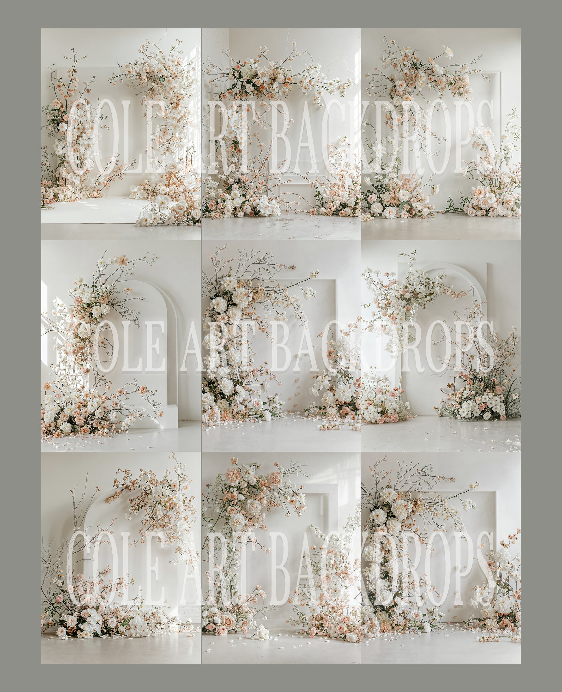 Airy Arch Digital Backdrop Set – Cole Art Backdrops