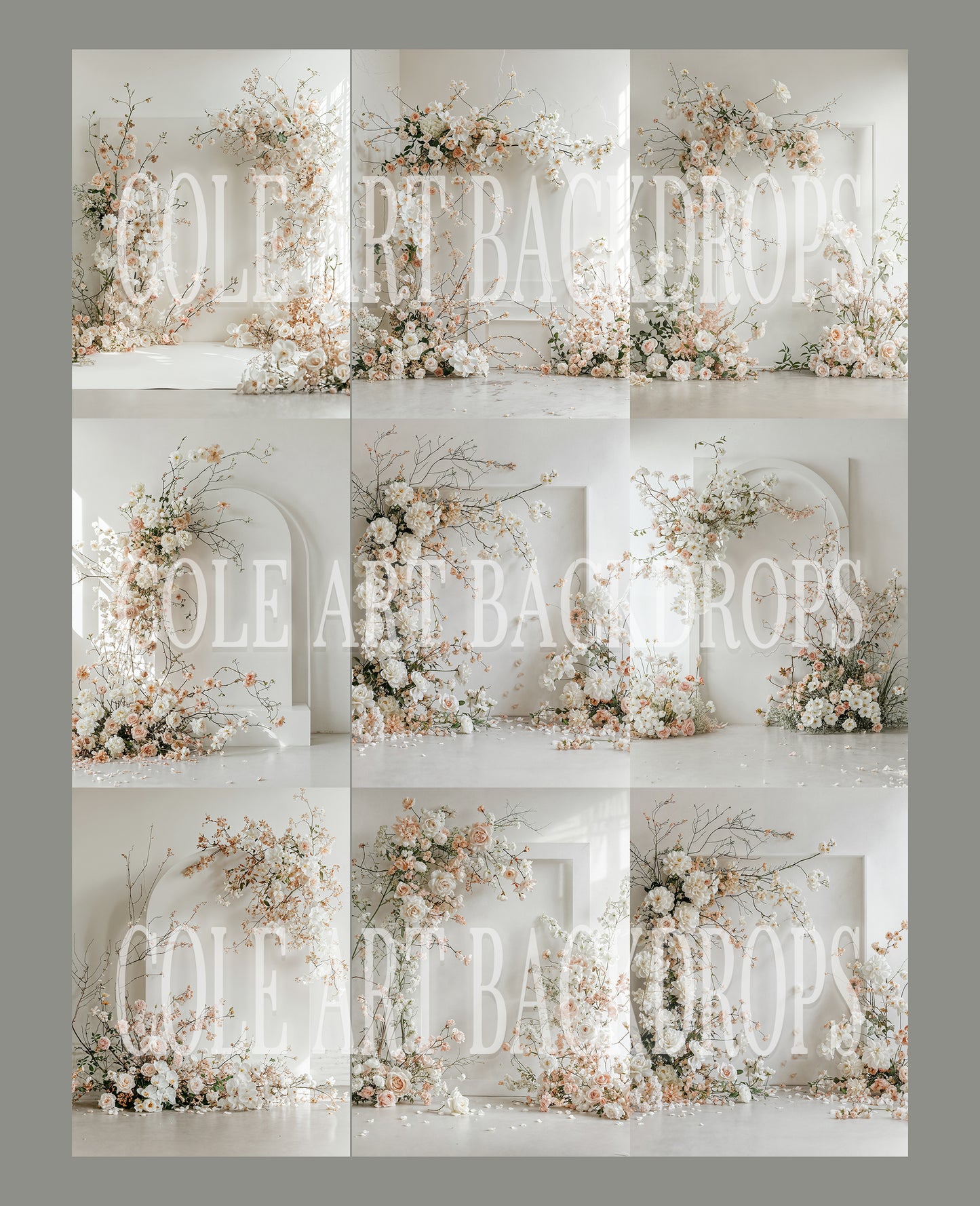 Airy Arch Digital Backdrop Set