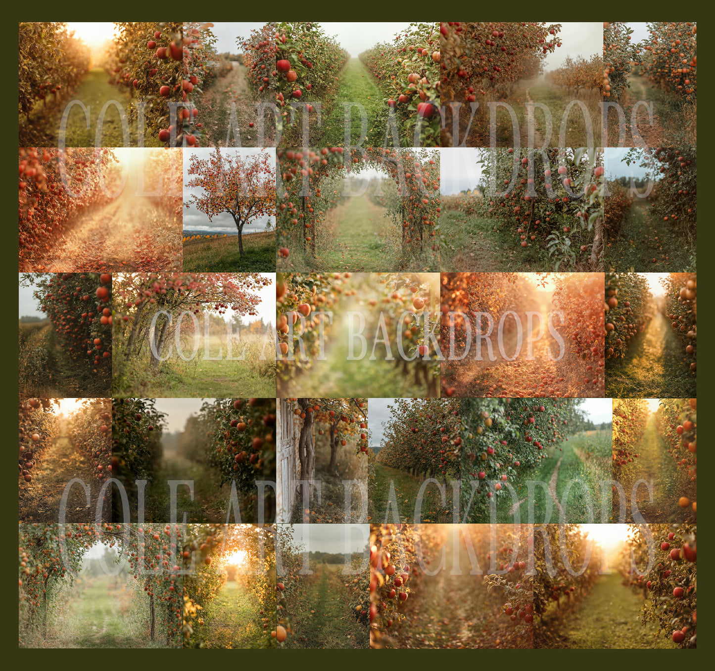 Apple Orchard Digital Backdrop Set