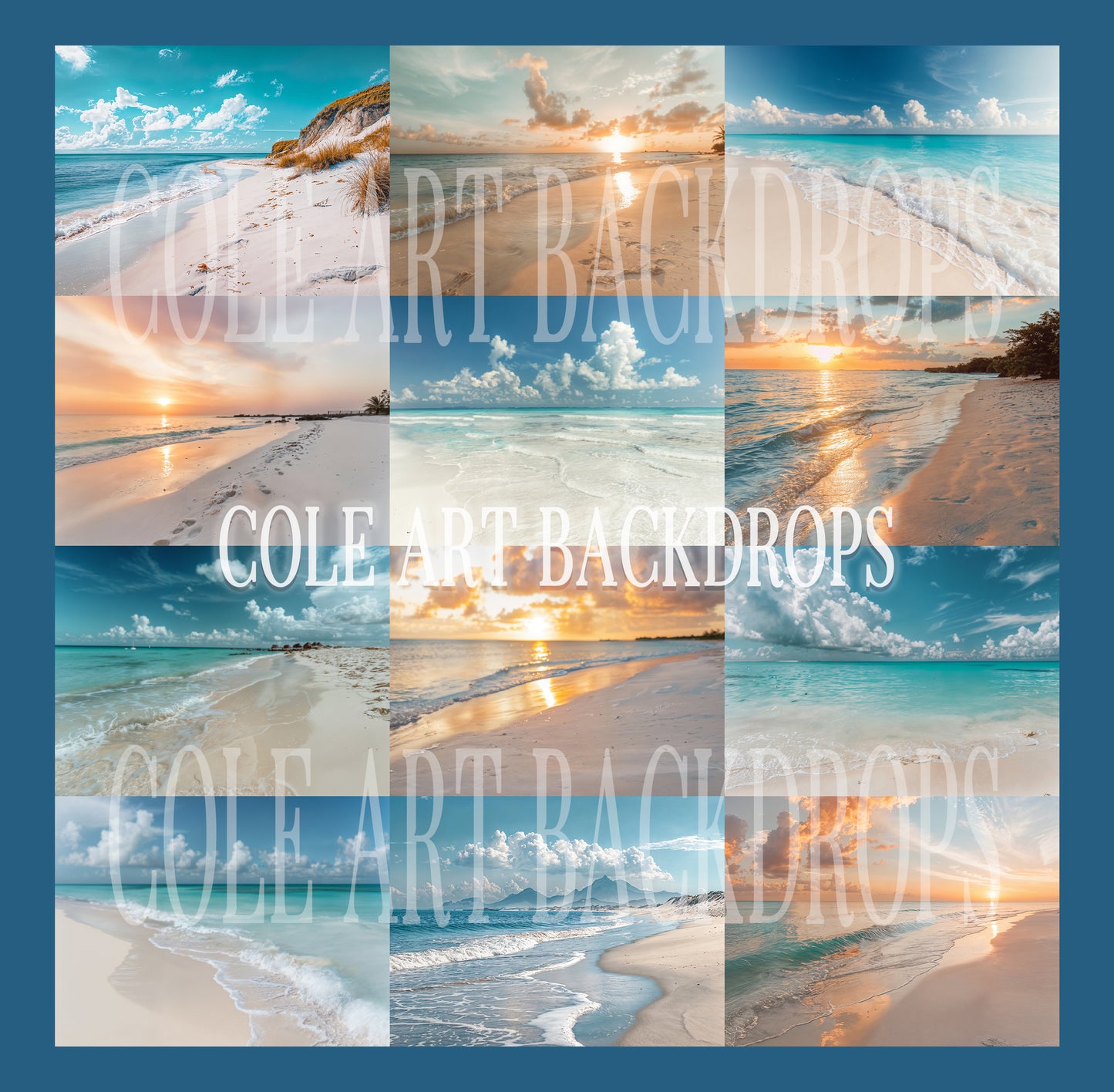 Sandy Beaches Digital Backdrop Set