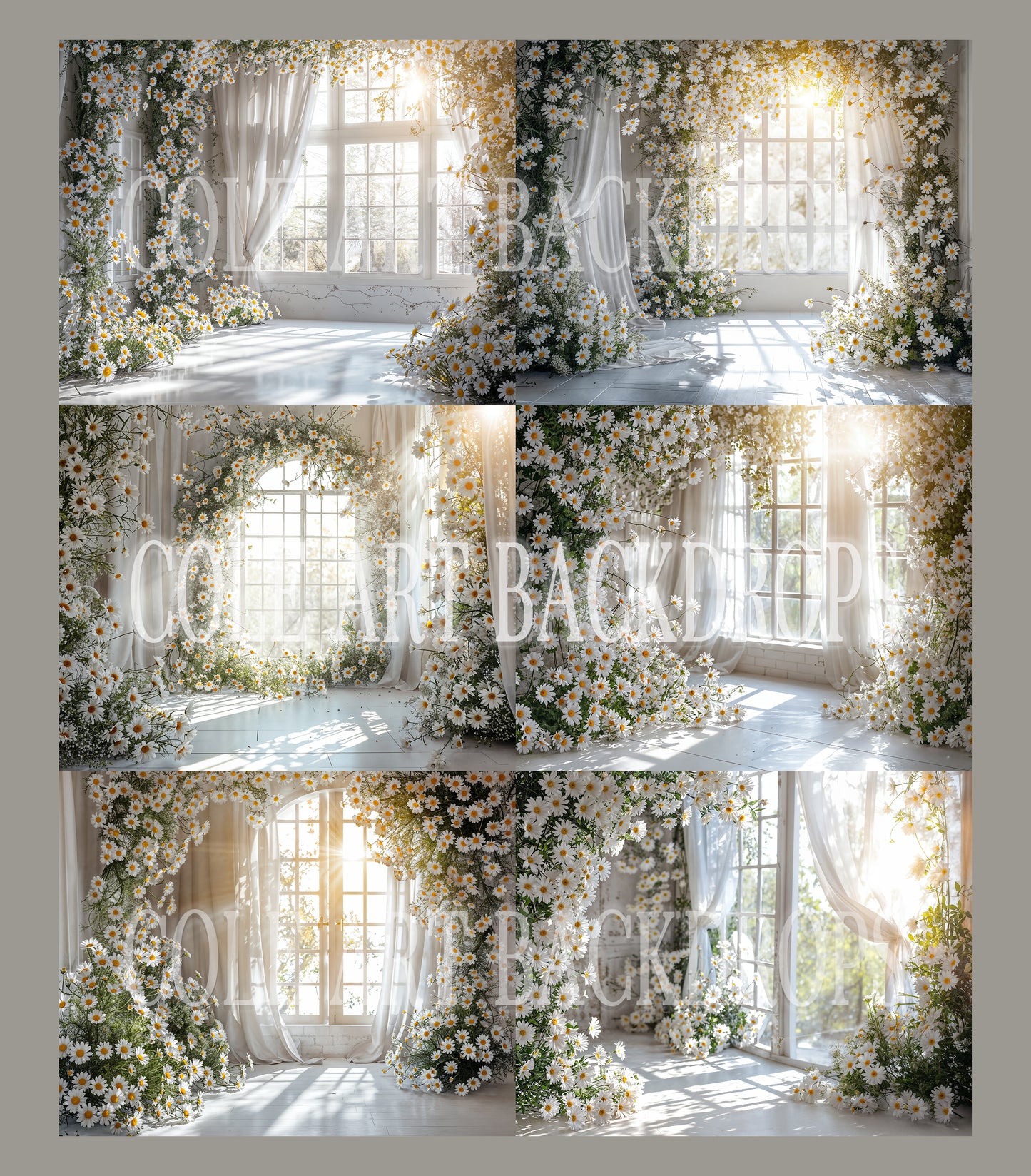 Daisy Room Digital Backdrop Set